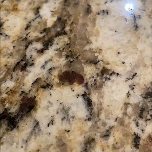 Meet your Posher, Samuel